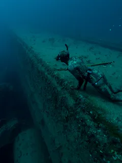 Pies leżący na boku łodzi na oceanie